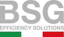BSG Group